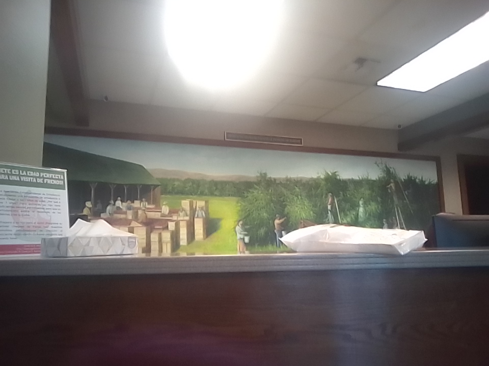 Apple Valley Dental & Braces photo 2