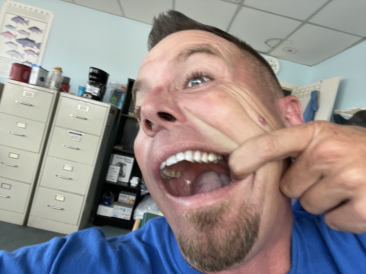 Summerland Dental photo 4