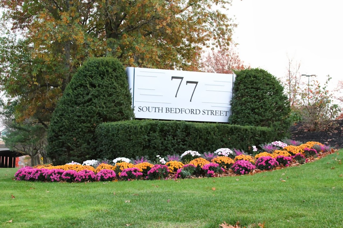 Burlington Oral & Facial Surgery Center photo 3