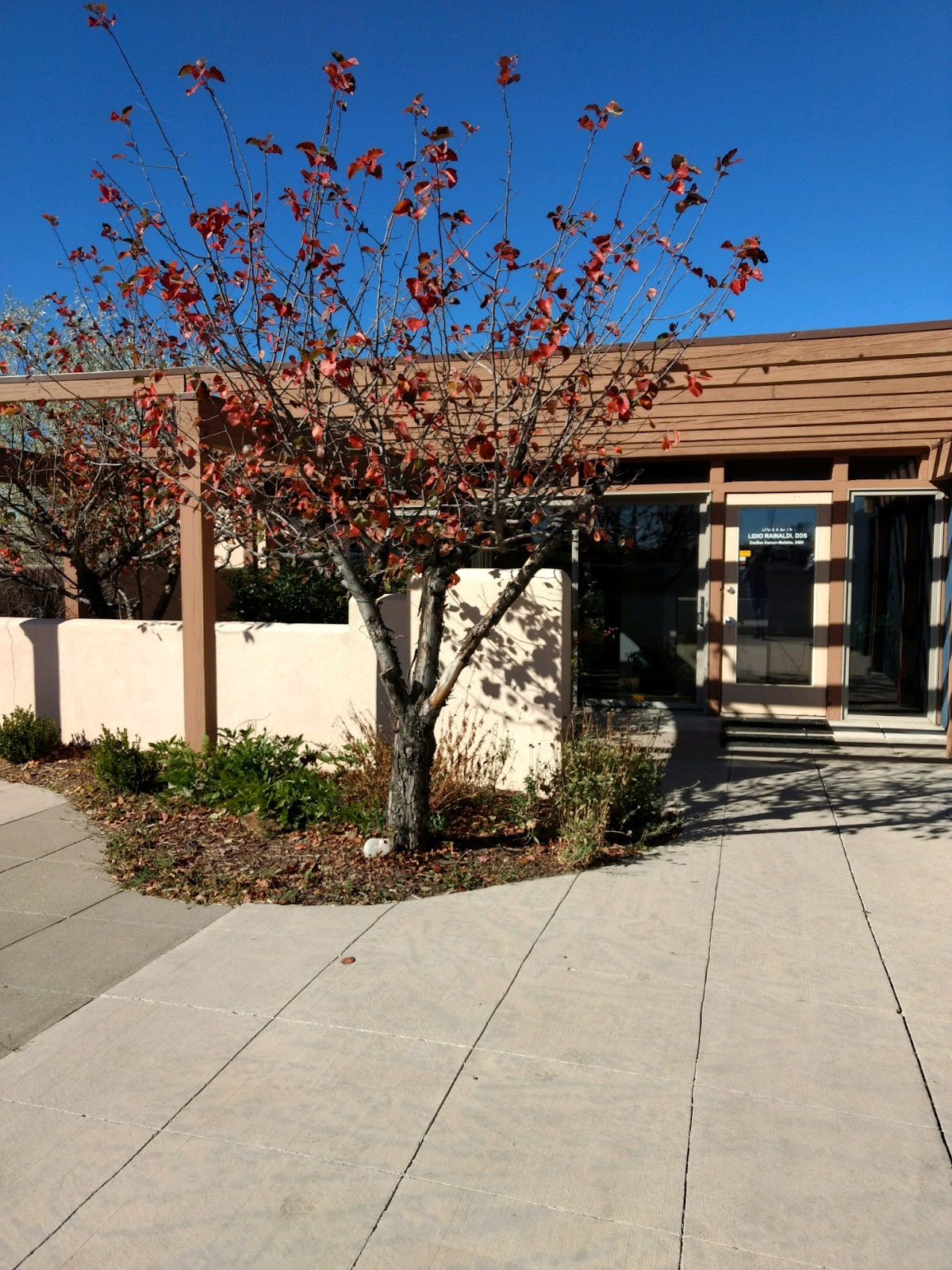 Porter Dental photo 3