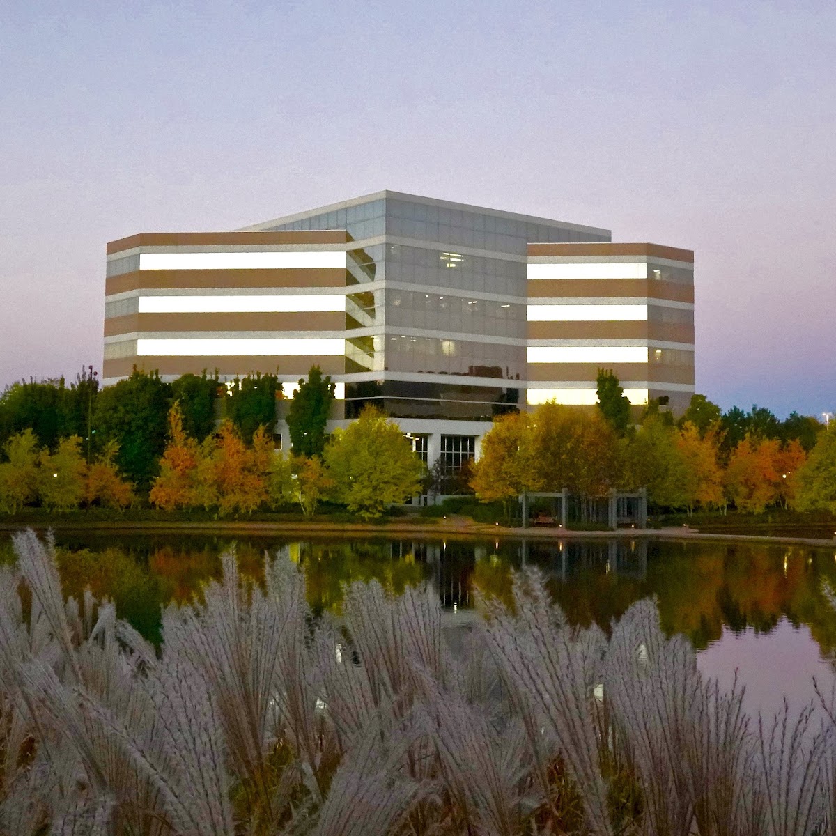 Centennial Lakes Dental Group photo 2