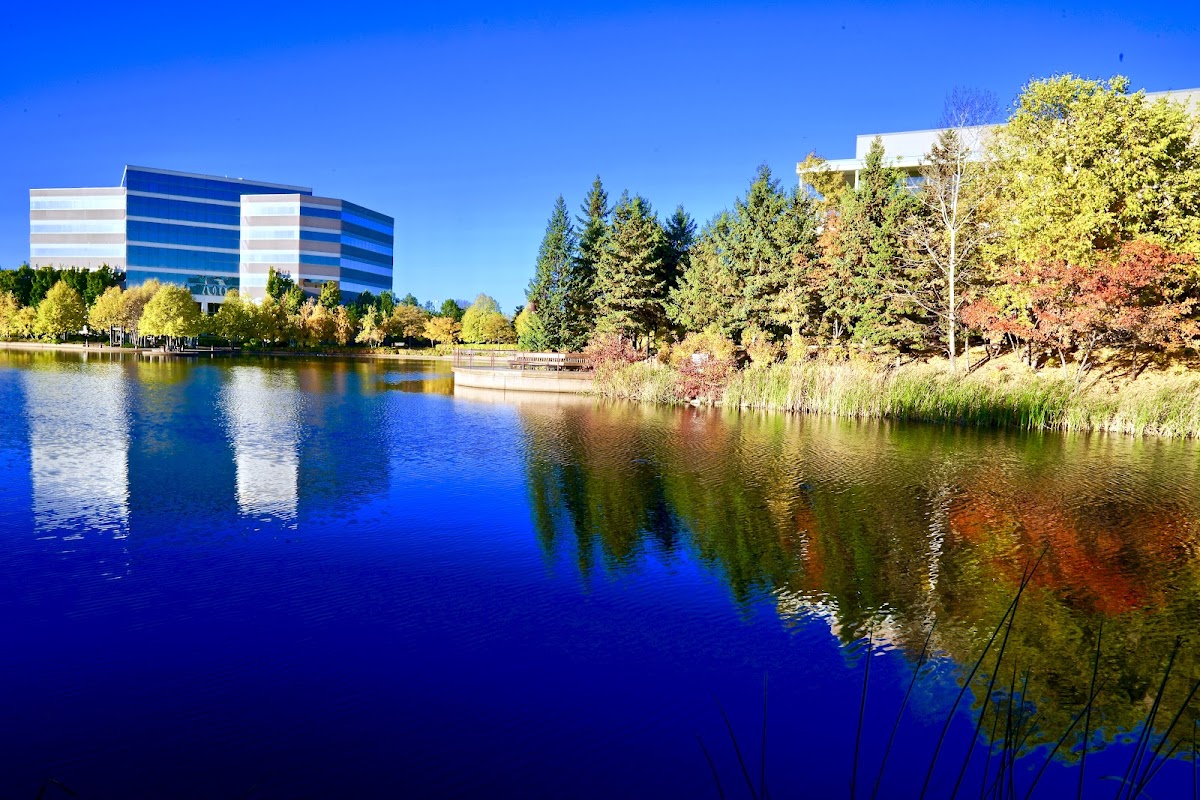 Centennial Lakes Dental Group photo 3