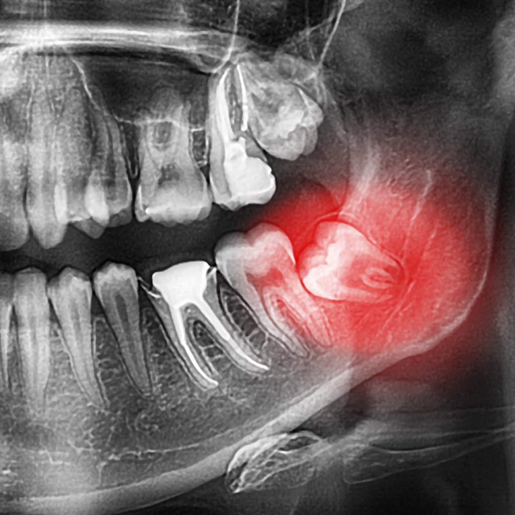 Rio Mimbres Family Dental & Oral Surgery photo 1