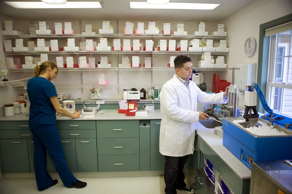 Cooley-bentz Dental Associates, P.C. photo 6