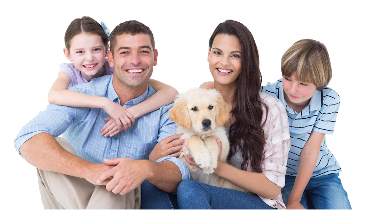 Downey Dental Solutions photo 1