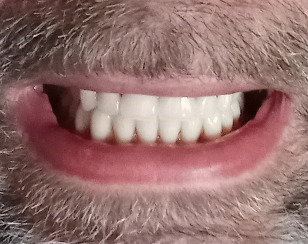 Advantage Dental+ photo 3