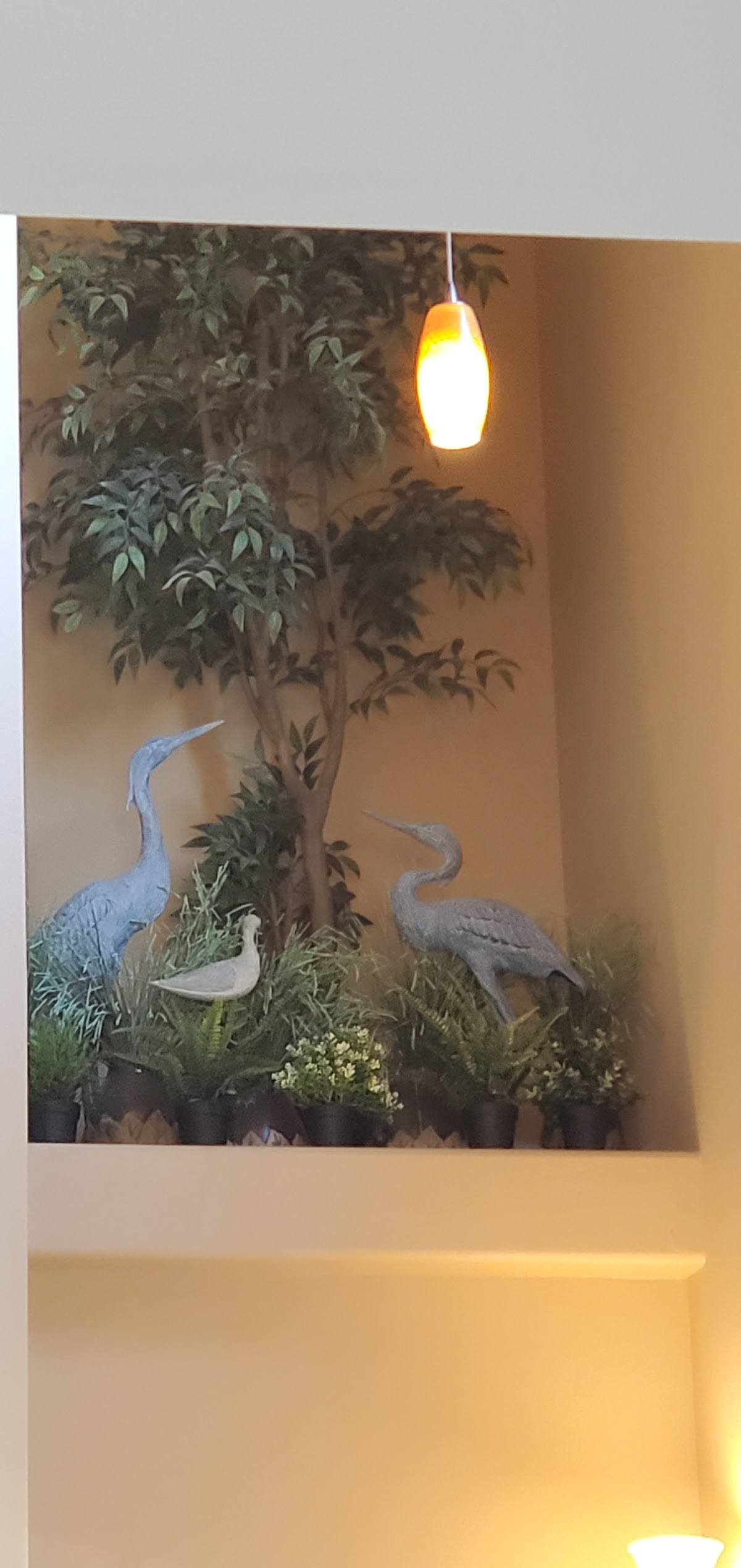 Hamm Dentistry photo 3