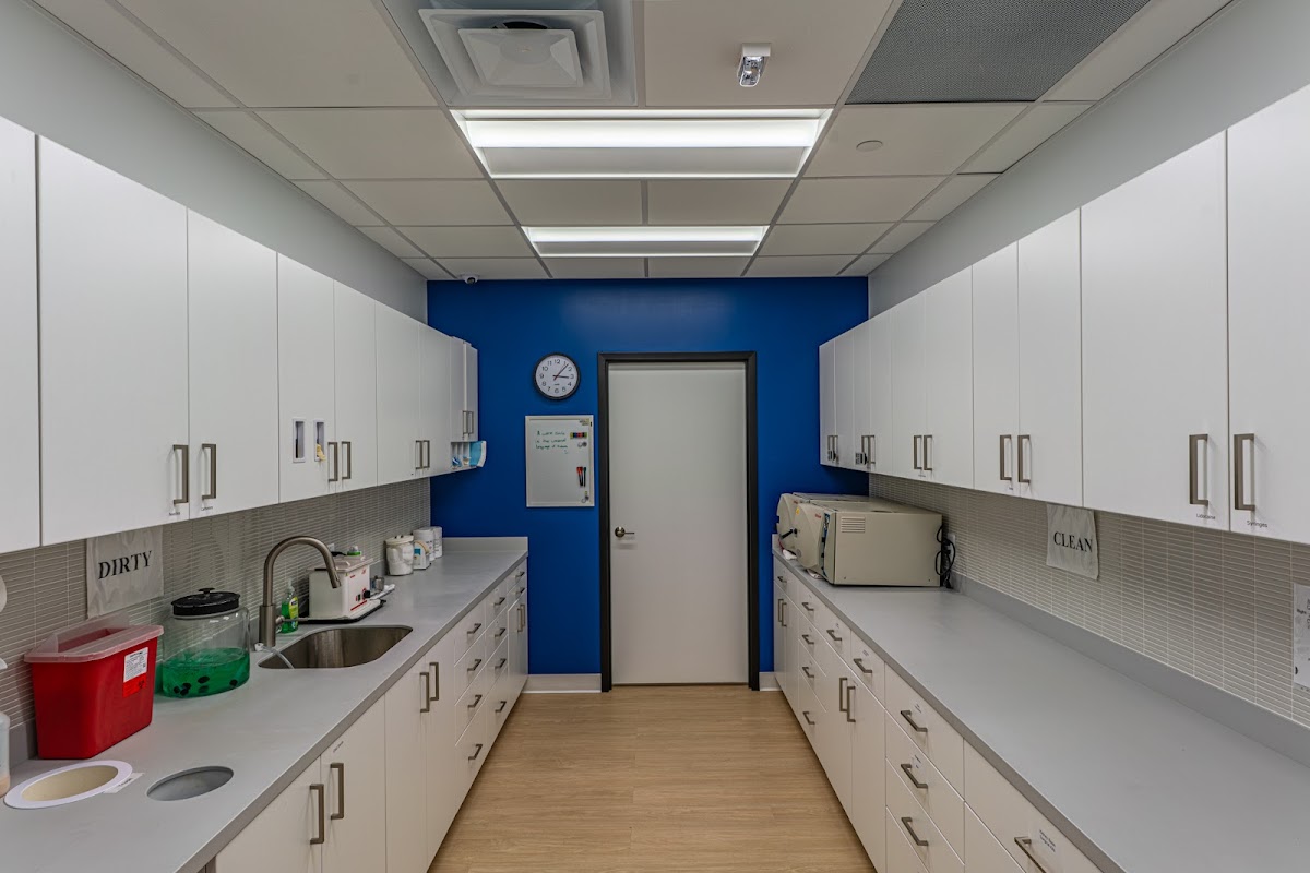 Alexandria Oral Surgery photo 3