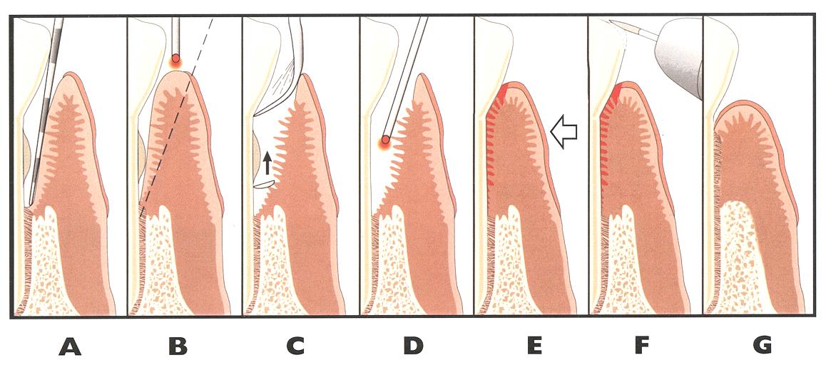 Cary Periodontics and Implant Dentistry photo 4