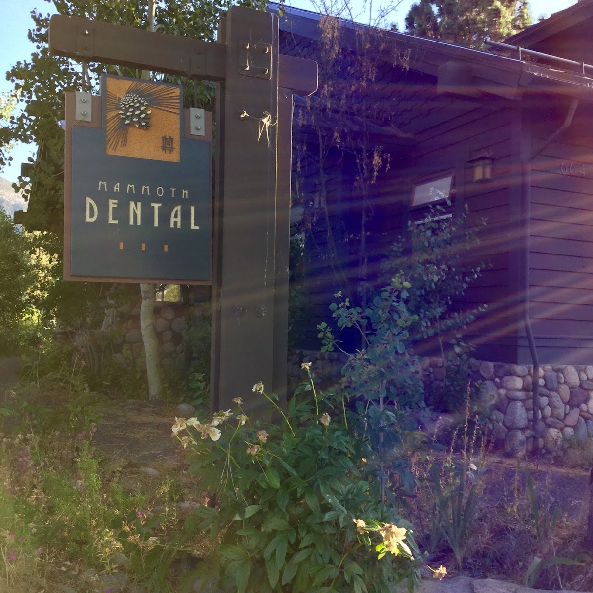 Mammoth Dental photo 2