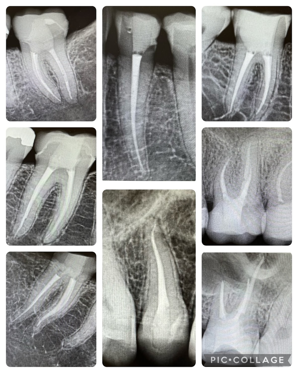 Pearl Dentistry & Implants photo 2