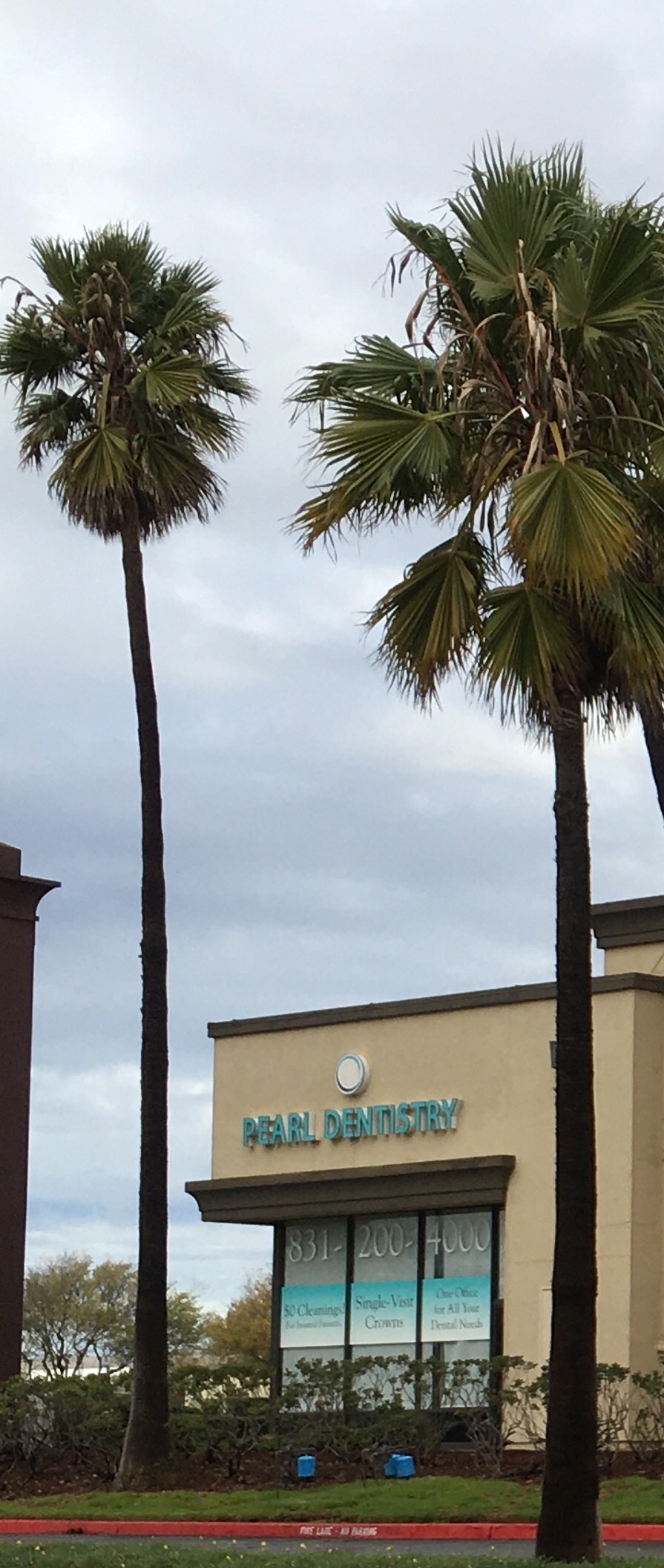 Pearl Dentistry & Implants photo 5