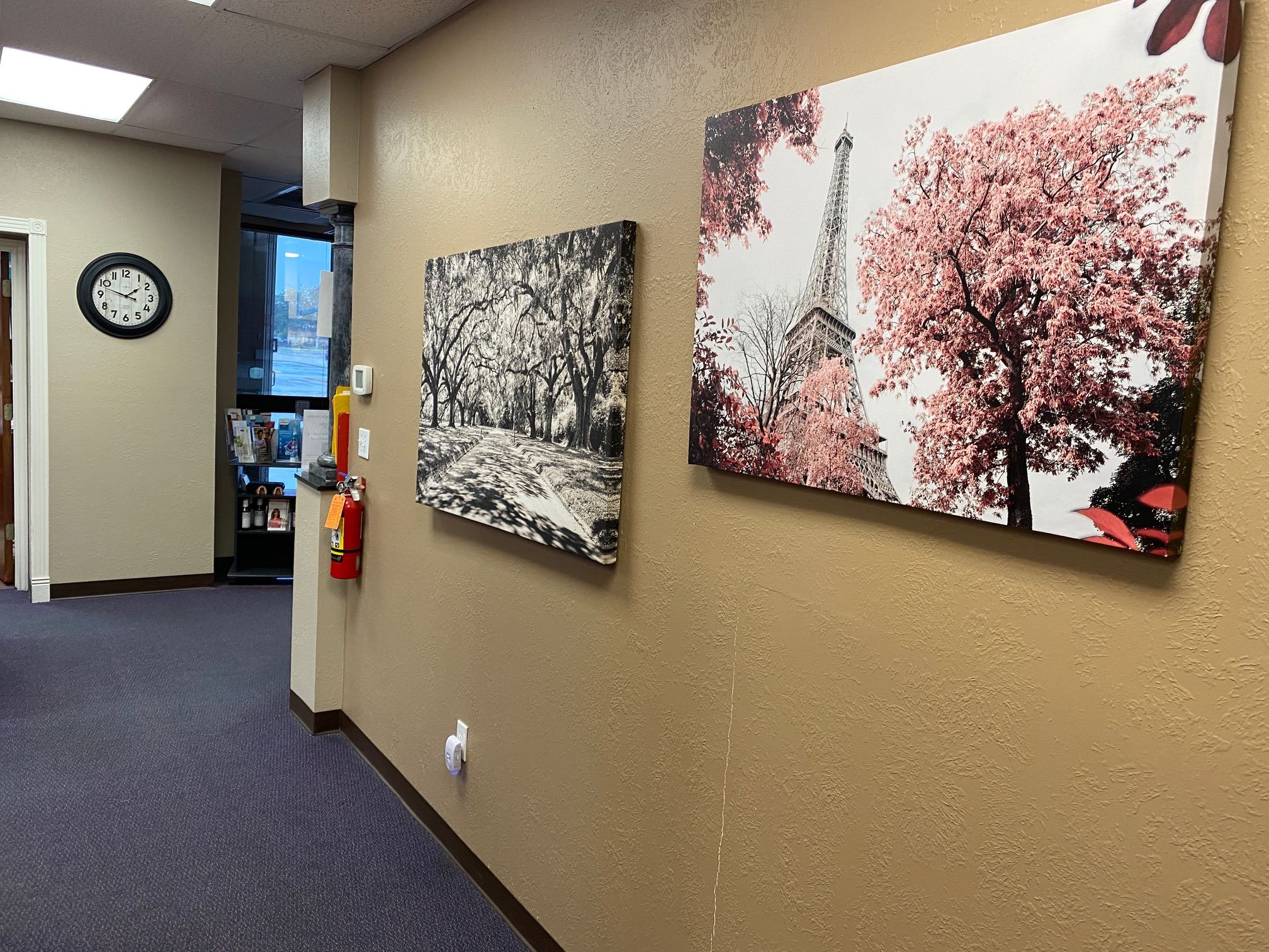 Premier Dental Care photo 1