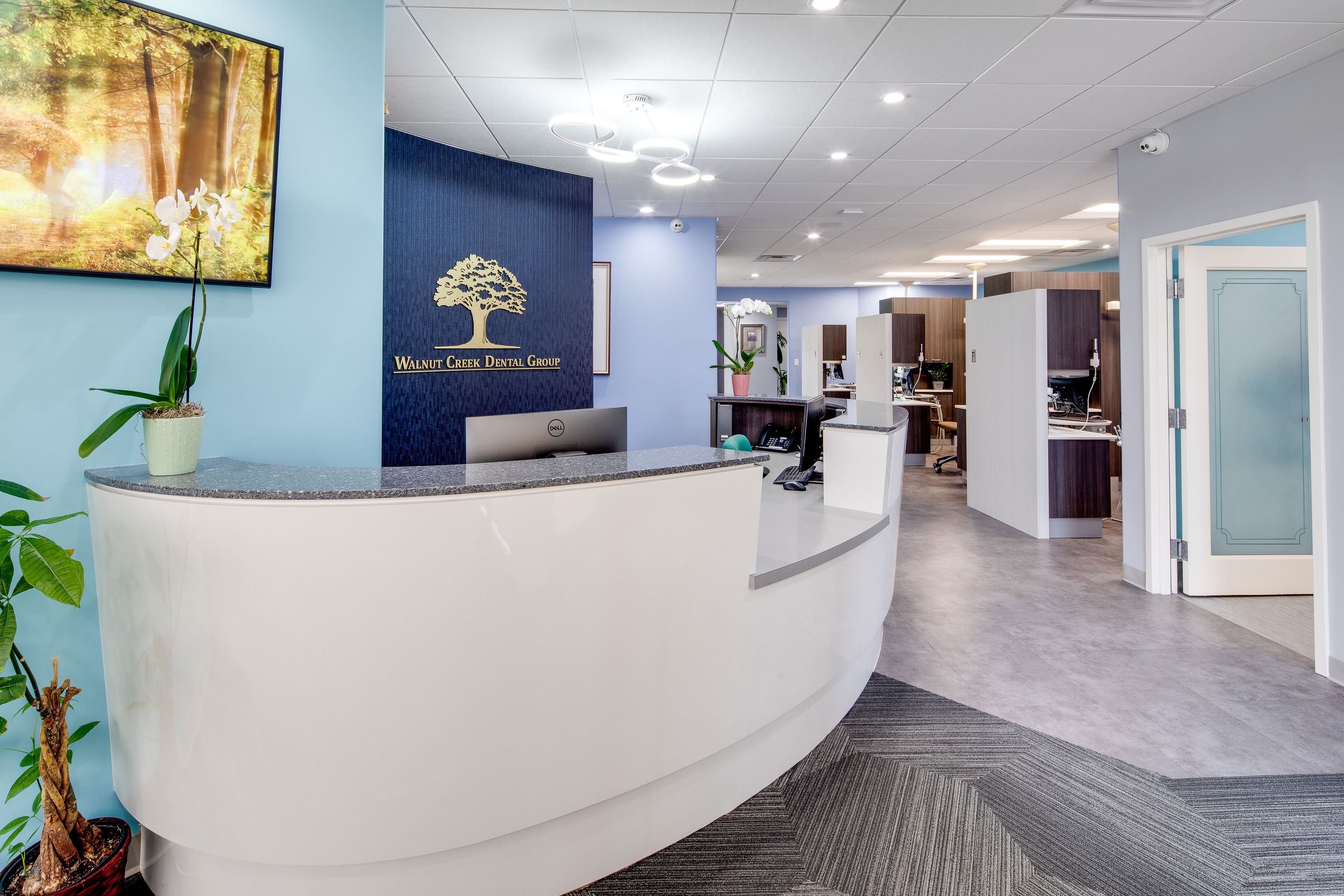 Walnut Creek Dental photo 1